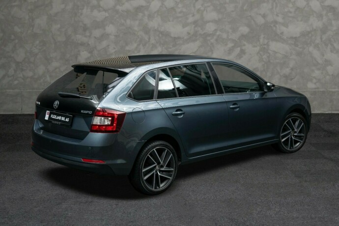 skoda-rapid-bensin-2019-big-8