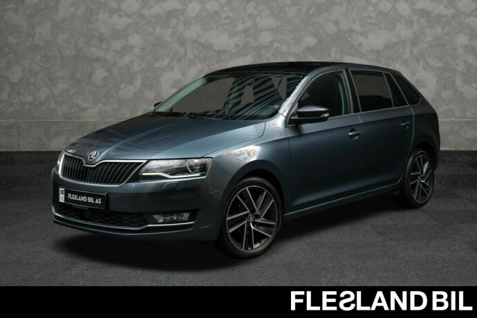 skoda-rapid-bensin-2019-big-0