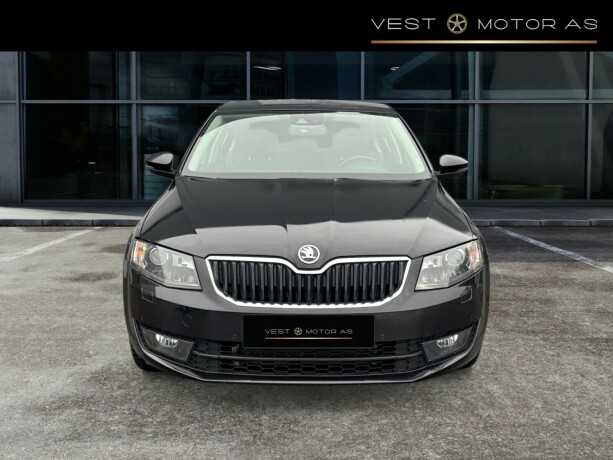 skoda-octavia-diesel-2013-big-1
