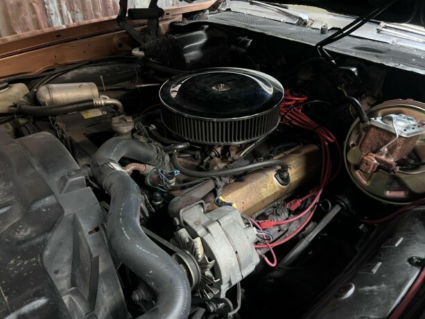 oldsmobile-cutlass-bensin-1972-big-38