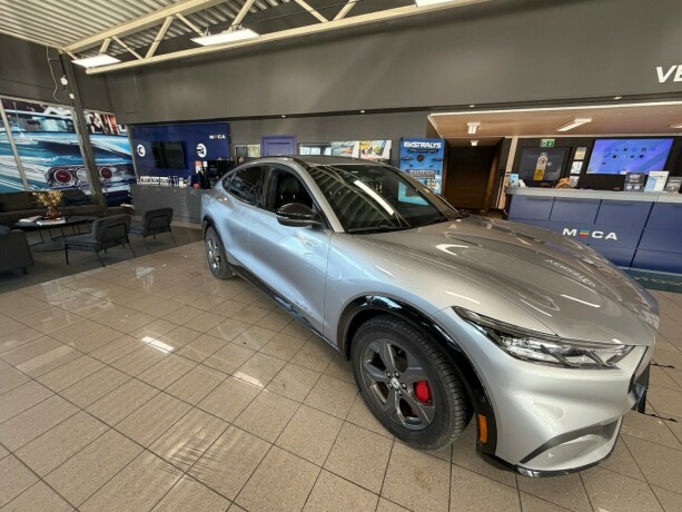 ford-mustang-mach-e-elektrisitet-2022-big-5