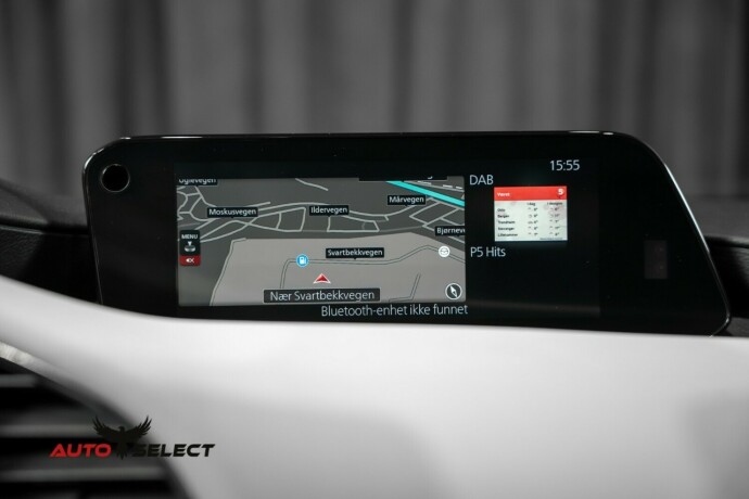 mazda-3-elektrisitetbensin-2021-big-38