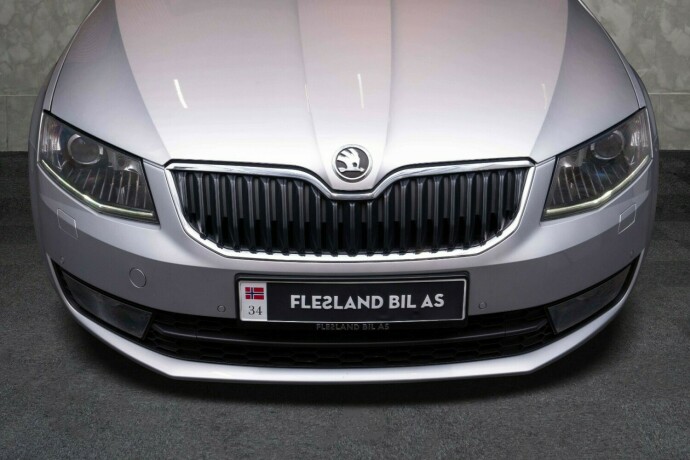 skoda-octavia-diesel-2013-big-4