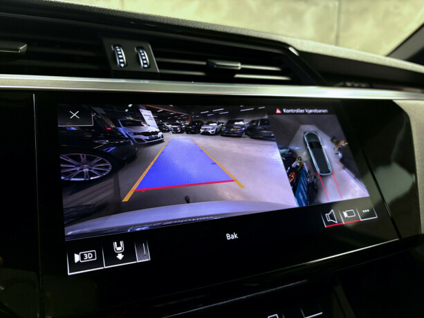 audi-e-tron-elektrisitet-2020-big-22