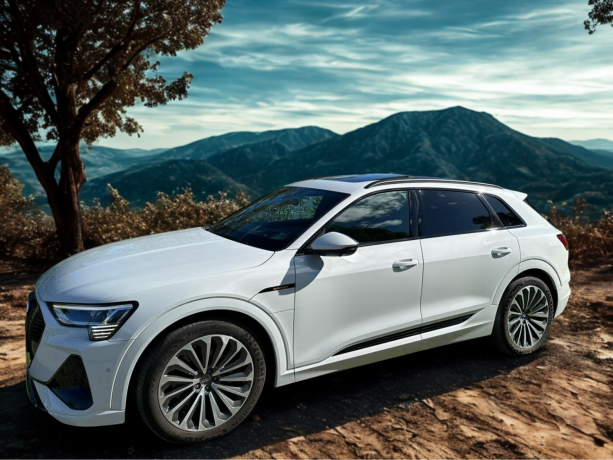 audi-e-tron-elektrisitet-2020-big-42