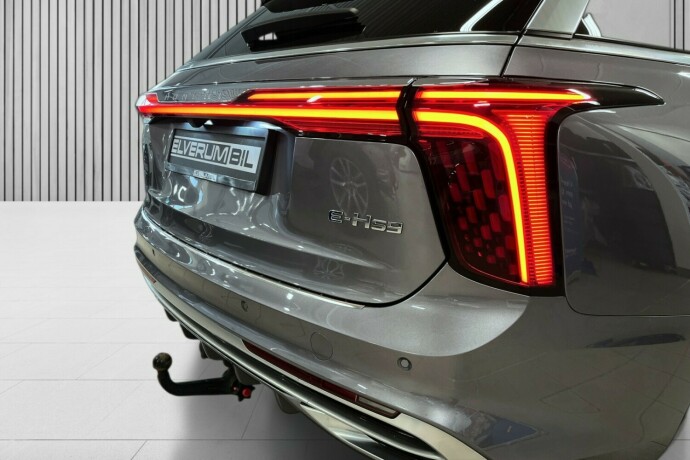 hongqi-e-hs9-elektrisitet-2022-big-11