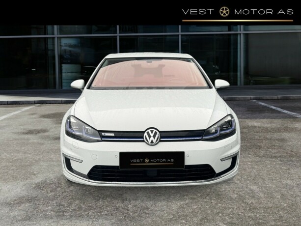 volkswagen-golf-elektrisitet-2019-big-1
