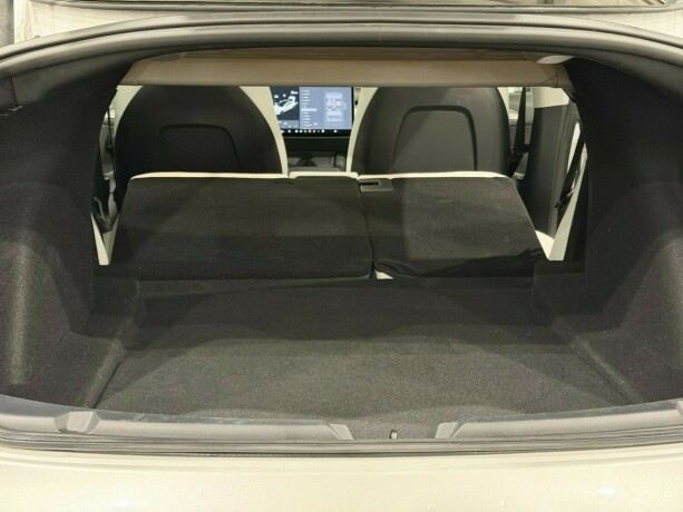 tesla-model-3-elektrisitet-2021-big-13