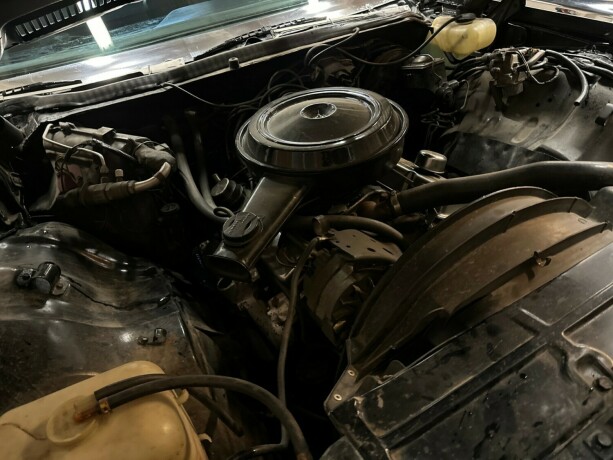 chevrolet-caprice-bensin-1973-big-48