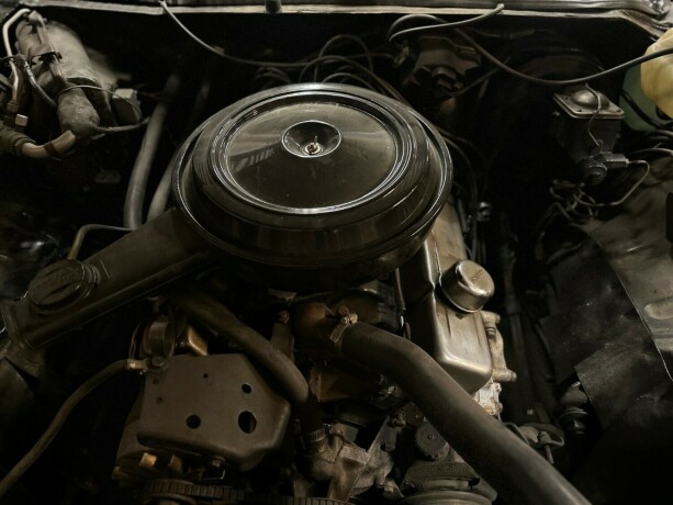 chevrolet-caprice-bensin-1973-big-46