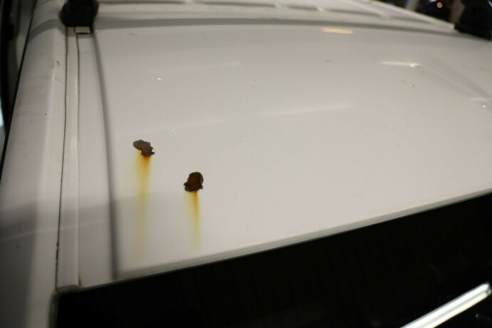 peugeot-expert-diesel-2020-big-13