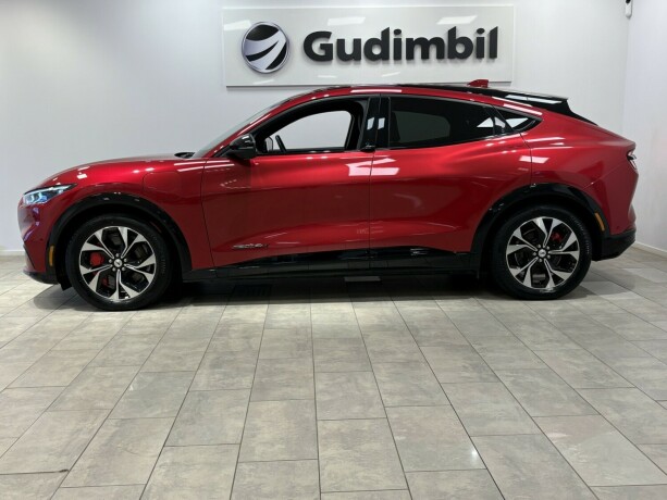 ford-mustang-mach-e-elektrisitet-2021-big-3