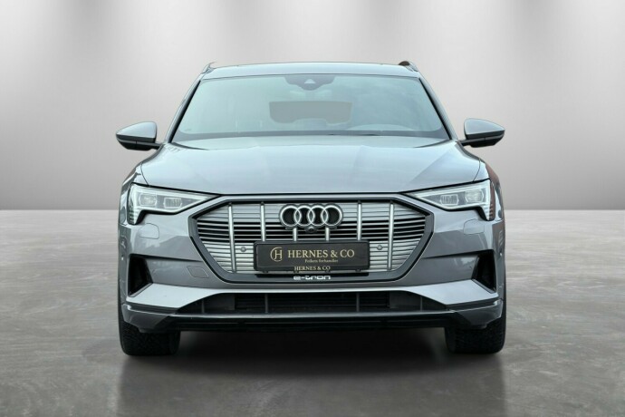 audi-e-tron-elektrisitet-2020-big-3