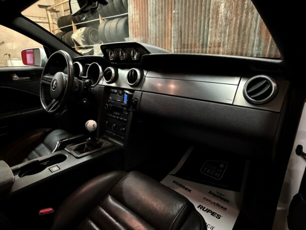 ford-mustang-bensin-2008-big-31