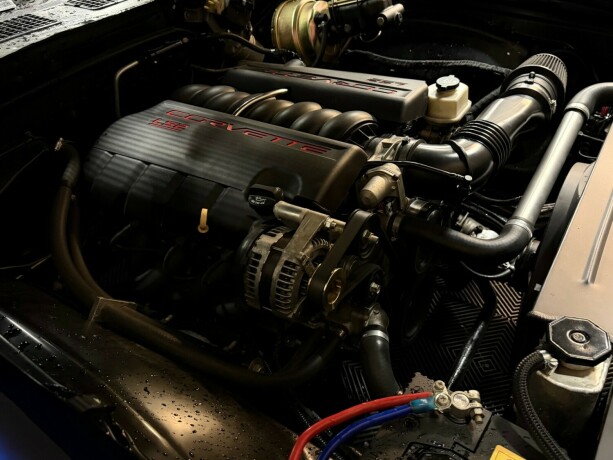 chevrolet-chevelle-bensin-1969-big-53