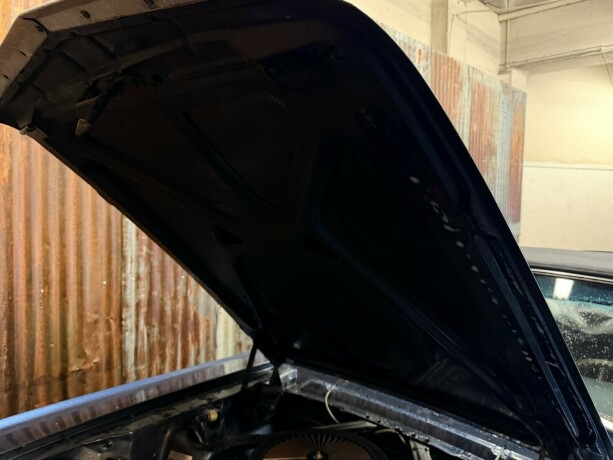 ford-mustang-bensin-1966-big-51