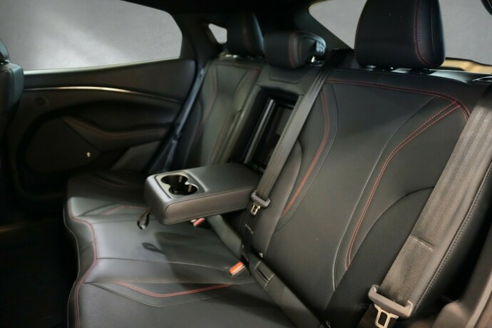 ford-mustang-mach-e-elektrisitet-2021-big-15