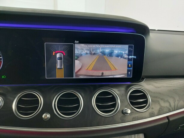 mercedes-benz-e-klasse-all-terrain-diesel-2020-big-43