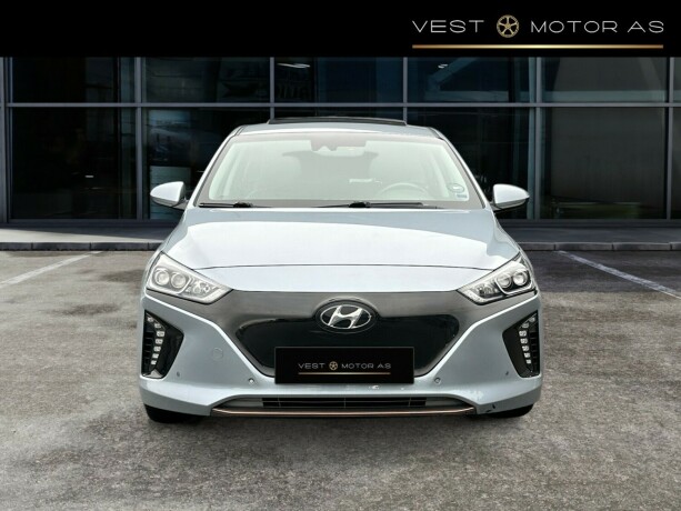 hyundai-ioniq-elektrisitet-2019-big-1