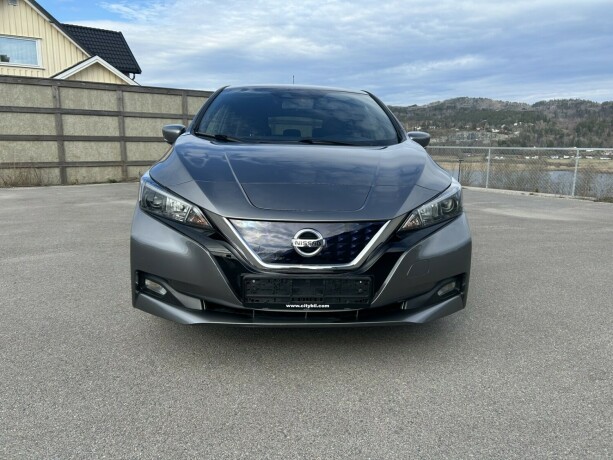 nissan-leaf-elektrisitet-2020-big-1