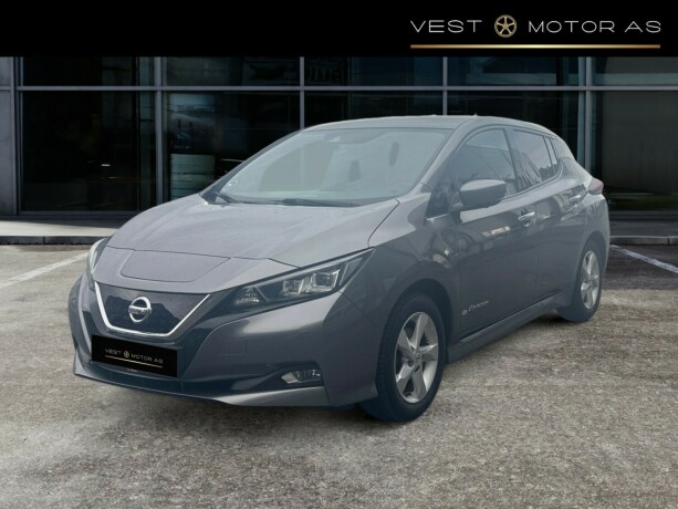 nissan-leaf-elektrisitet-2019-big-2