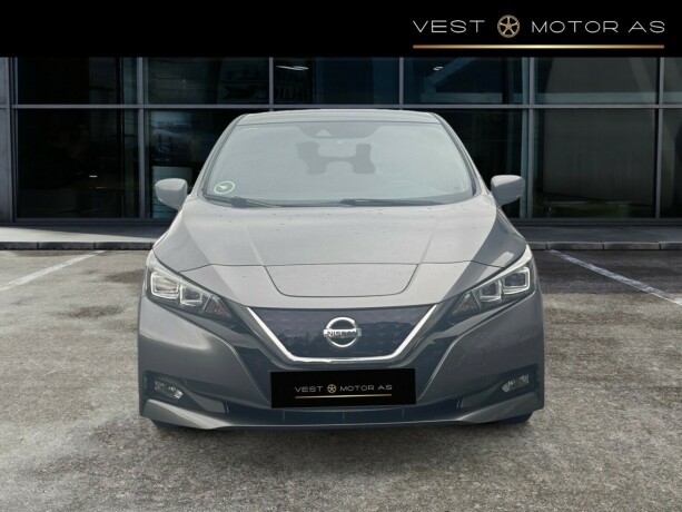 nissan-leaf-elektrisitet-2019-big-1