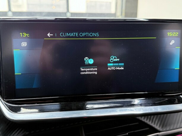 peugeot-2008-elektrisitet-2021-big-25