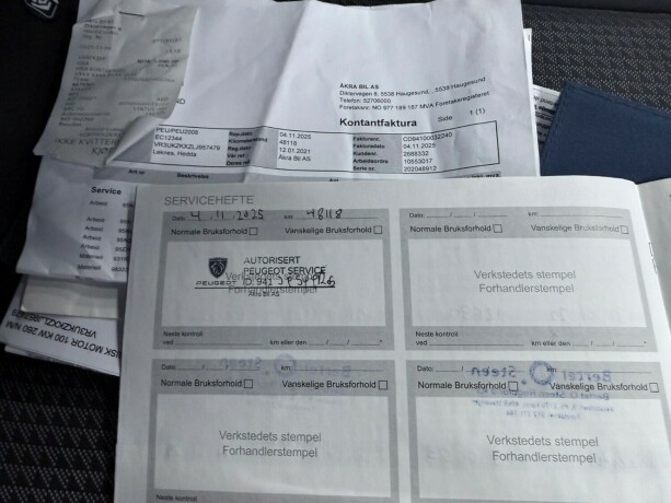 peugeot-2008-elektrisitet-2021-big-37