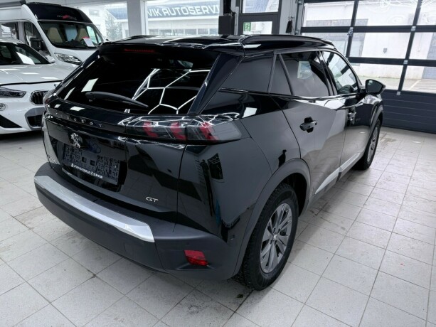 peugeot-2008-elektrisitet-2021-big-6