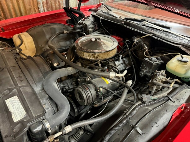 chevrolet-caprice-bensin-1976-big-50