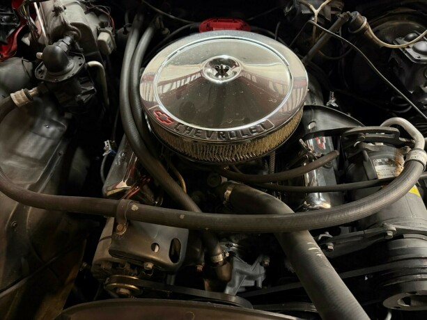 chevrolet-caprice-bensin-1976-big-48