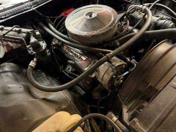 chevrolet-caprice-bensin-1976-big-49