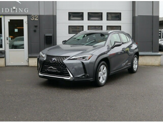 Lexus | UX | Elektrisitet | 2021