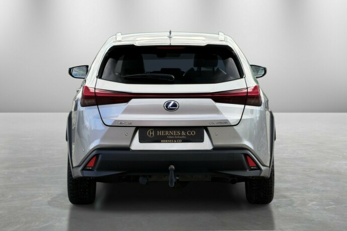 lexus-ux-elektrisitetbensin-2021-big-6