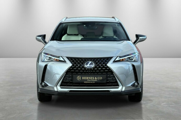lexus-ux-elektrisitetbensin-2021-big-2