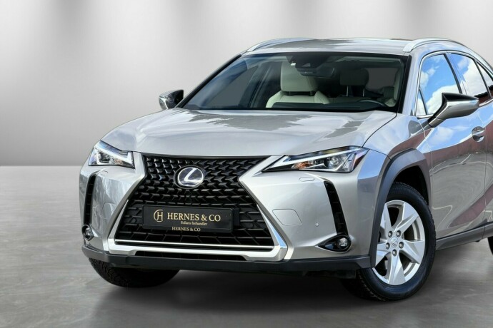 lexus-ux-elektrisitetbensin-2021-big-1