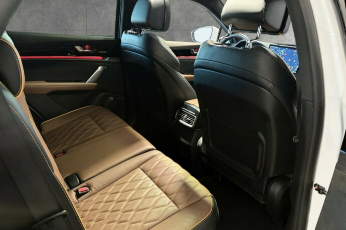 byd-tang-elektrisitet-2021-big-26