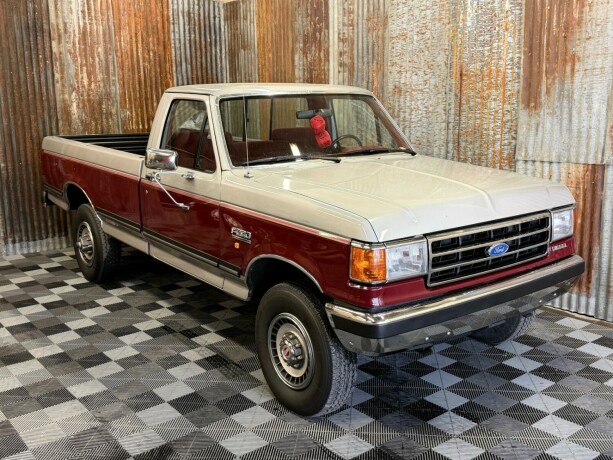 ford-f-serie-diesel-1989-big-1