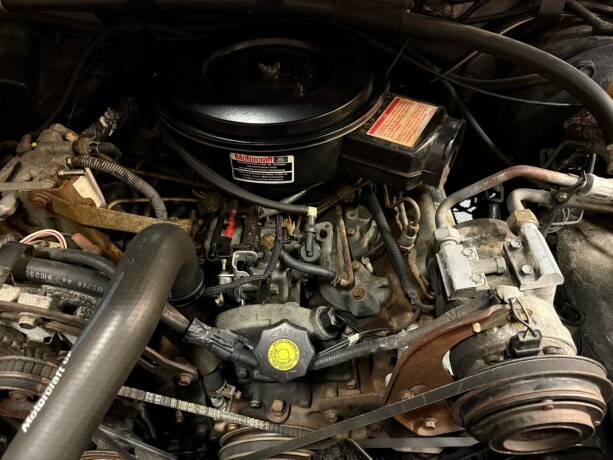 ford-f-serie-diesel-1989-big-37