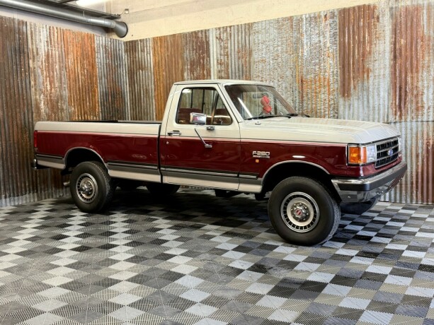 ford-f-serie-diesel-1989-big-2
