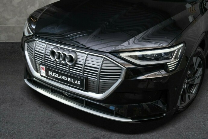 audi-e-tron-elektrisitet-2019-big-4