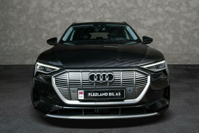 audi-e-tron-elektrisitet-2019-big-6