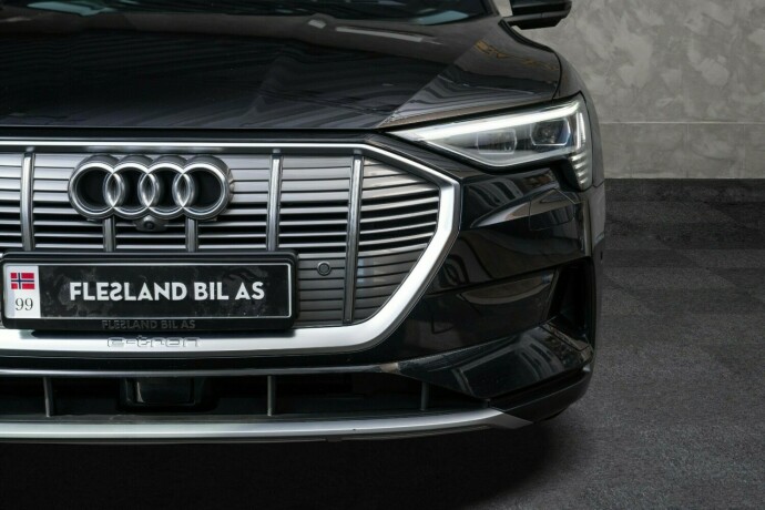 audi-e-tron-elektrisitet-2019-big-5