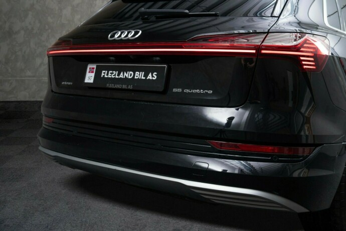 audi-e-tron-elektrisitet-2019-big-9