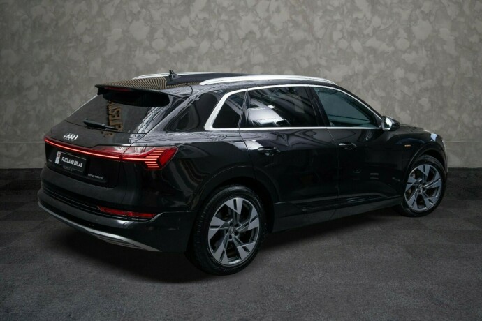 audi-e-tron-elektrisitet-2019-big-8