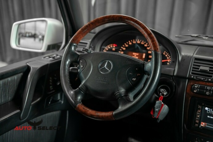 mercedes-benz-gel228ndewagen-diesel-2004-big-29