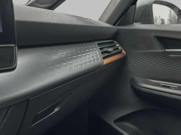 cupra-born-elektrisitet-2022-big-30