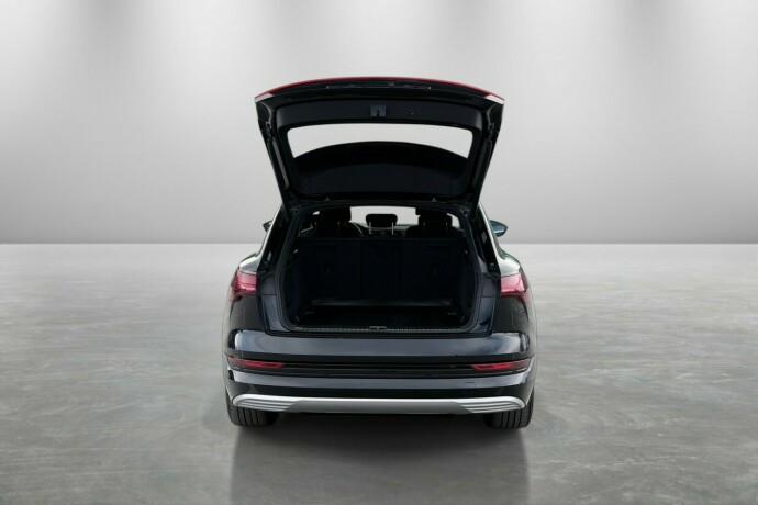 audi-e-tron-elektrisitet-2021-big-9