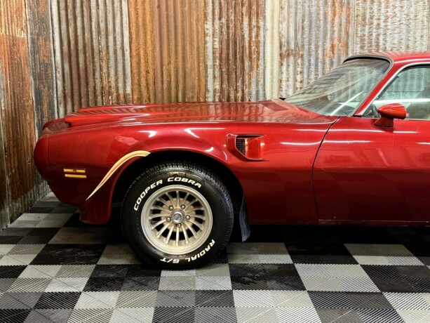 pontiac-firebird-bensin-1974-big-14