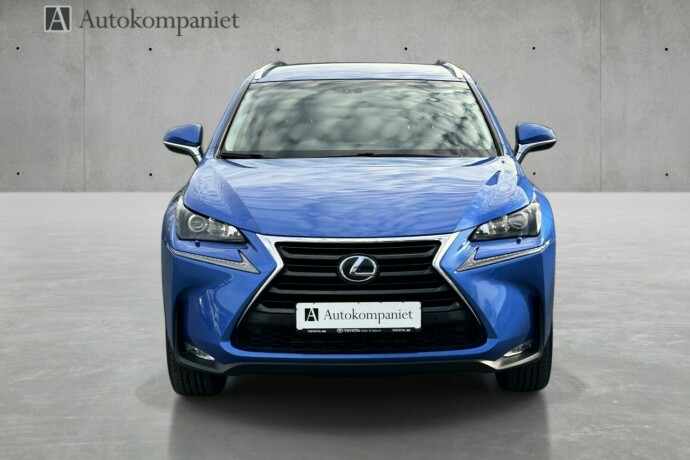 lexus-nx-300h-elektrisitetbensin-2017-big-7